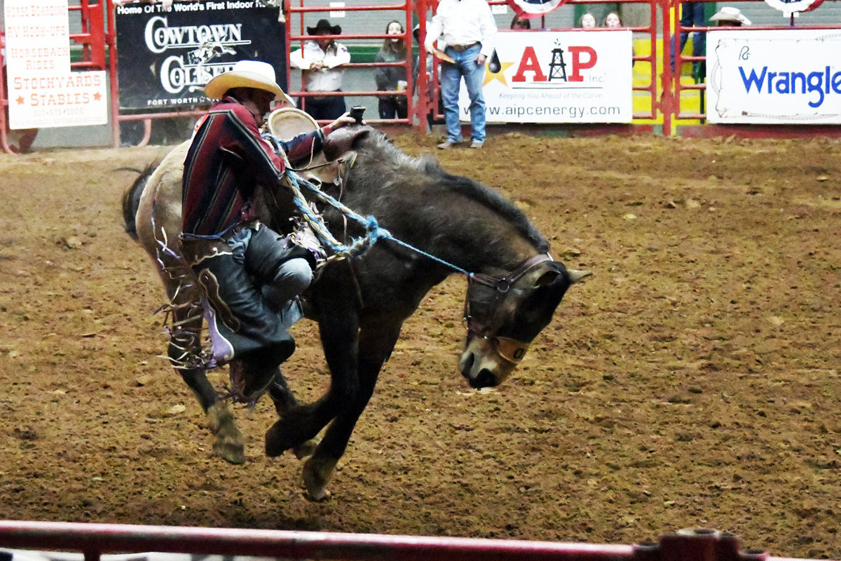 062 At the rodeo.JPG